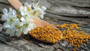 szárított virágpor