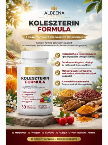 KOLESZTERINFORMULA